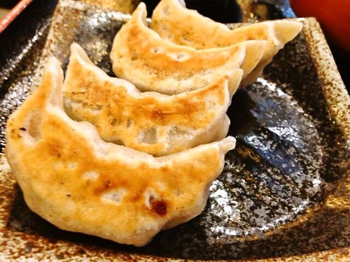 こちらが焼餃子